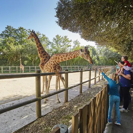 Maison Pour 4 - Jardin - Coeur Des Sables D'olonne Les Sables-dʼOlonne