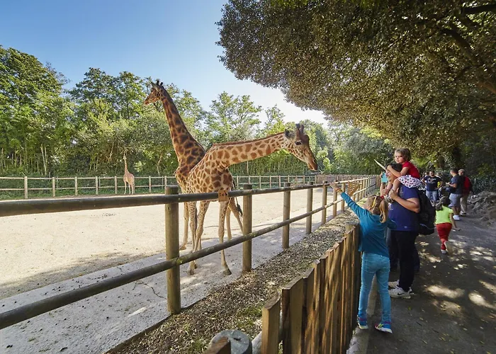 Maison Pour 4 - Jardin - Coeur Des Sables D'olonne Les Sables-dʼOlonne